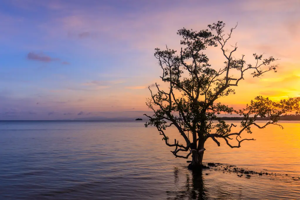 Does Nofap Get Rid of Depression