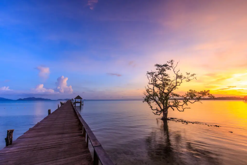 Does NoFap Give You More Energy