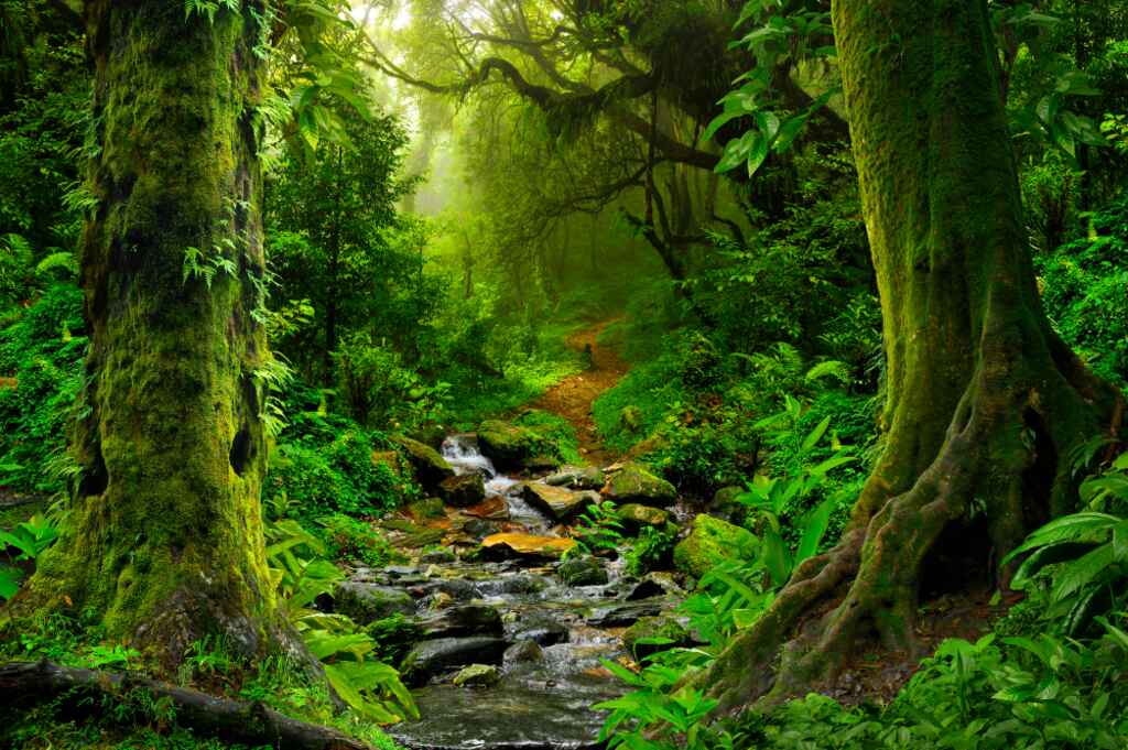 understanding what is porn adddiction using beautiful nature