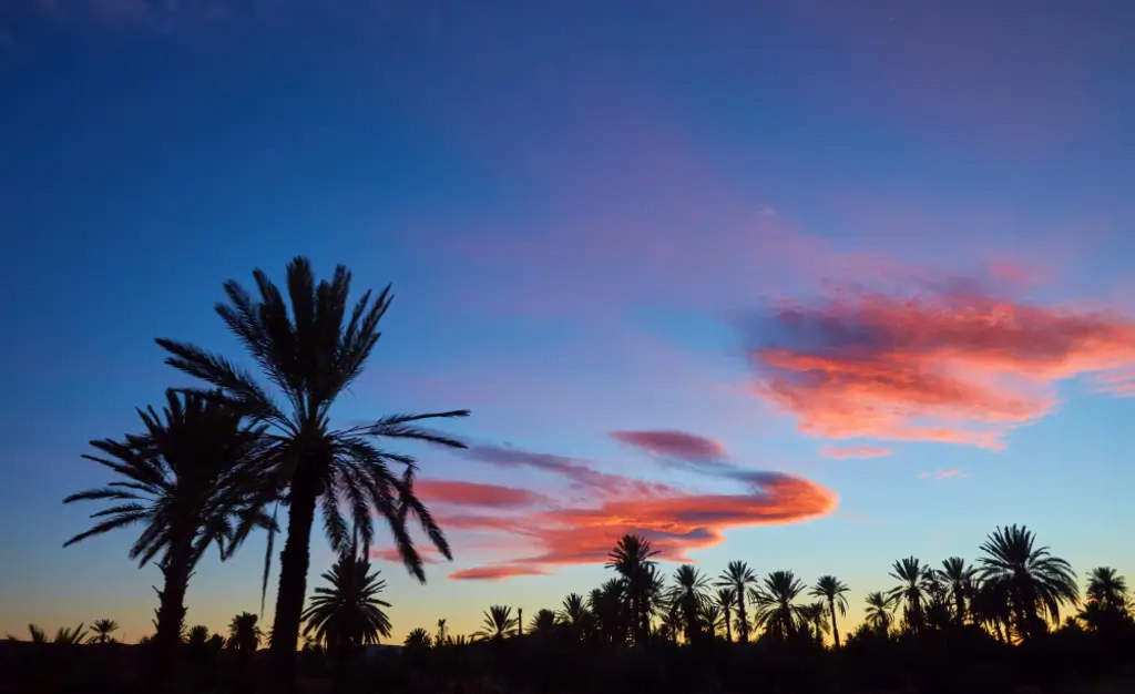 couple therapy using tree and beautiful sky