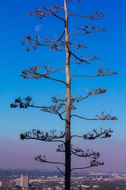 Integrative Therapies and Holistic Approaches - Porn Addiction Solution